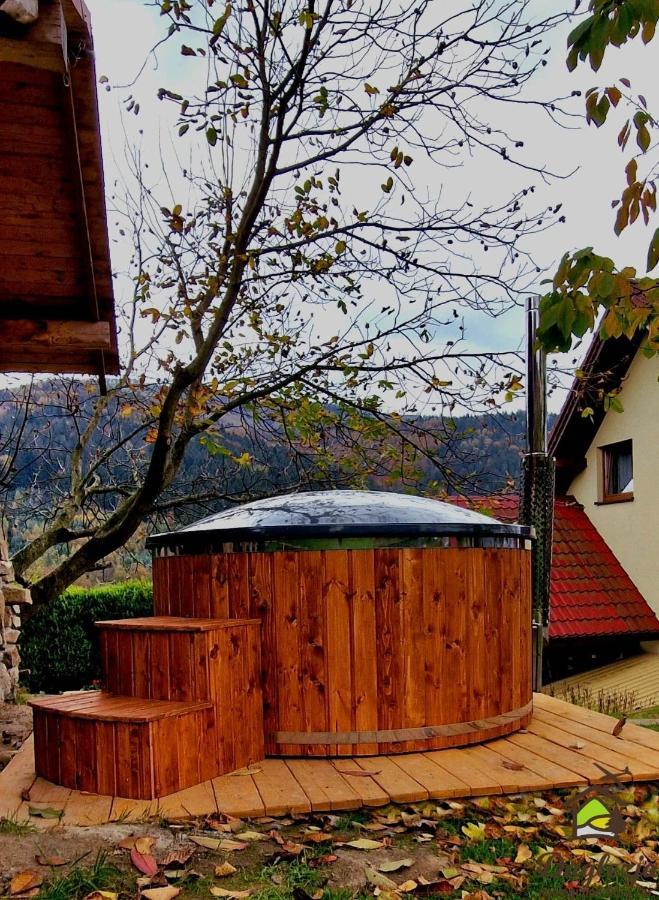 Noclegi Daglezja Pod Gora Zar Miedzybrodzie Zywieckie Exterior foto
